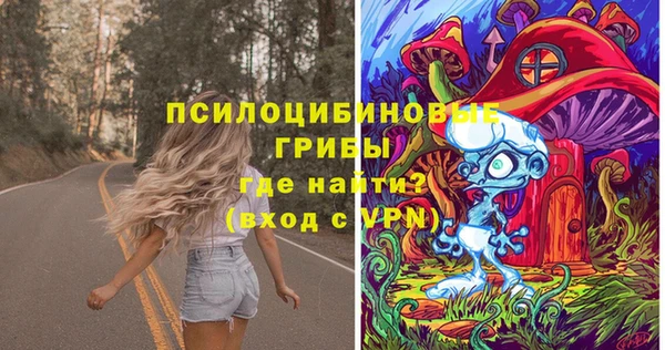 хмурый Алзамай