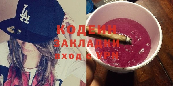 хмурый Алзамай