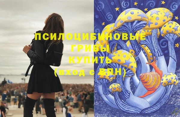 хмурый Алзамай