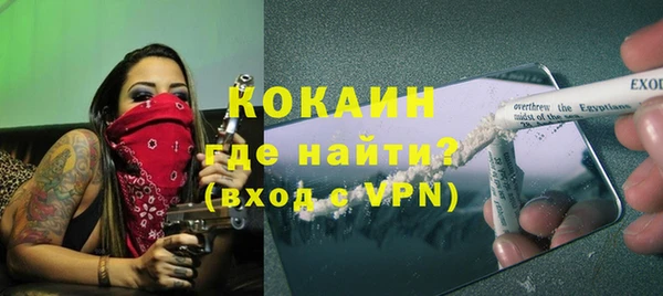 хмурый Алзамай