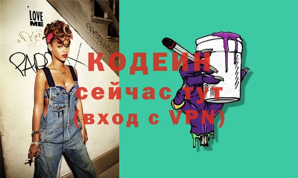 хмурый Алзамай