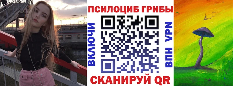OMG ТОР  Белебей  shop наркотические препараты  Галлюциногенные грибы мицелий 